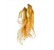 Zensen